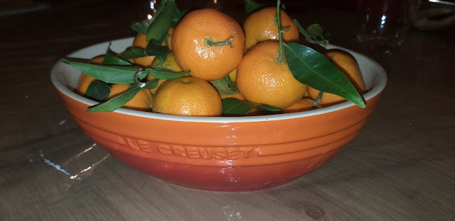 Skovridervej 9, 6715 Esbjerg Kommune