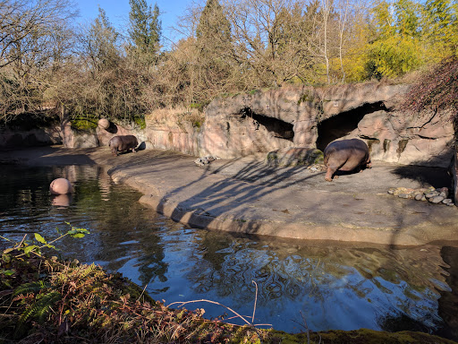 Zoo «Oregon Zoo», reviews and photos, 4001 Southwest Canyon Road, Portland, OR 97221, USA