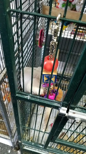 Pet Store «Rivers & Reefs Pet Center», reviews and photos, 2008 S 1st St, Austin, TX 78704, USA