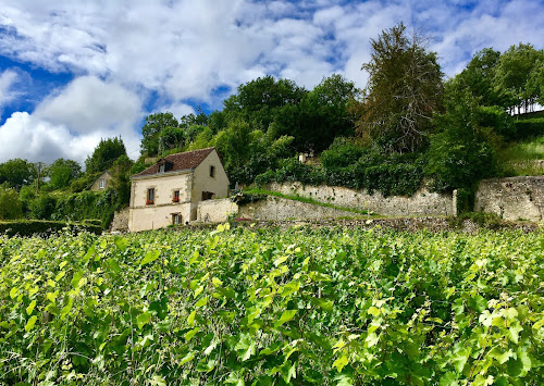 Gite des Vignes Blanches à Vouvray