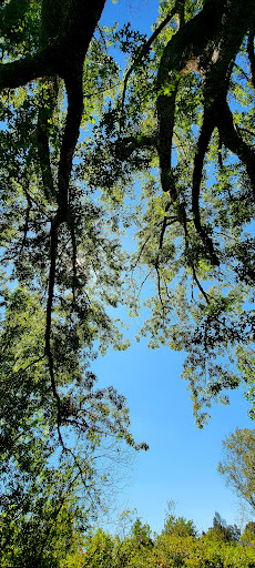 Park «Commonwealth Lake Park», reviews and photos, SW Butner Rd & SW Huntington Ave, Cedar Hills, OR 97225, USA