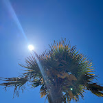 Photo n°6 de l'avis de Natalja.o fait le 12/05/2024 à 18:17 sur le  Hotel Mayer à Bibione