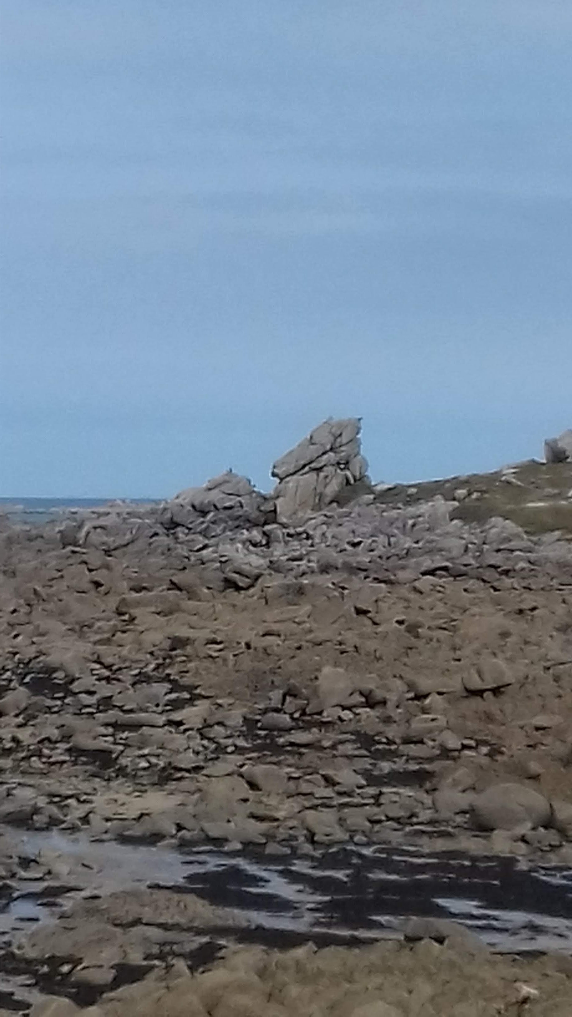 Photo n° 6 de l'avis de Rick.l fait le 03/09/2018 à 10:32