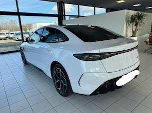 Photo n°15 de BYD Strasbourg - Groupe Kroely à Strasbourg ()