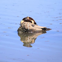 Geigle Media - Photo 2 - Car repair in , Medford