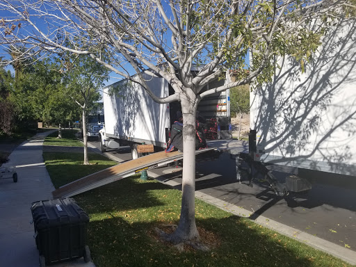 Moving Company «Red Carpet Moving Company», reviews and photos, 5435 S Procyon St #200, Las Vegas, NV 89118, USA