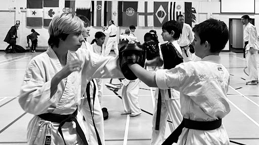 Sheffield Dojo Tao Noy Sing Karate Club