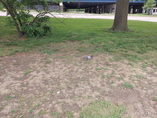 Stadium «Citi Field», reviews and photos, 123-01 Roosevelt Ave, Queens, NY 11368, USA