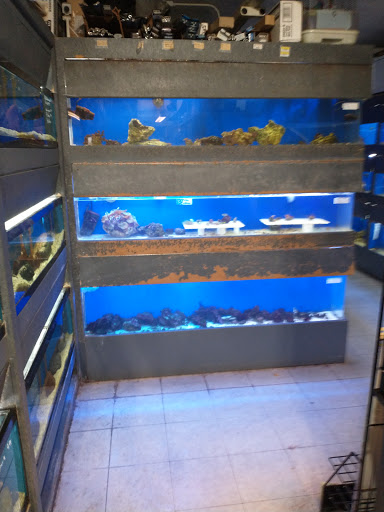 Pet Store «Anchor Bay Aquarium», reviews and photos, 36457 Alfred St, New Baltimore, MI 48047, USA