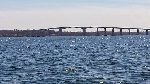 Nature Preserve «John H. Chafee Nature Preserve», reviews and photos, Boston Neck Rd, North Kingstown, RI 02852, USA