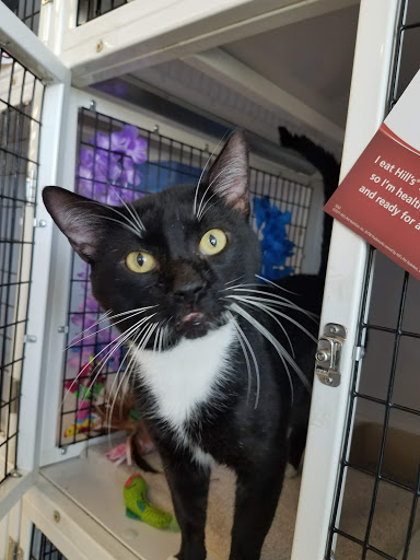 Pet Supply Store «Pet Supplies Plus», reviews and photos, 1258 Northlake Blvd, Lake Park, FL 33403, USA