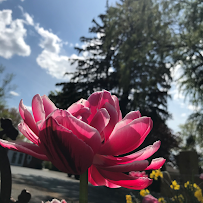 Thien Thanh Alteration shop - Photo 8 - Car repair in , Rochester