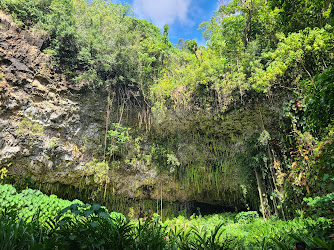 Fern Grotto