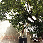 Photo n°4 de l'avis de Giuliano.o fait le 17/06/2021 à 13:05 sur le  Roma Café And Wines à Costigliole d'Asti