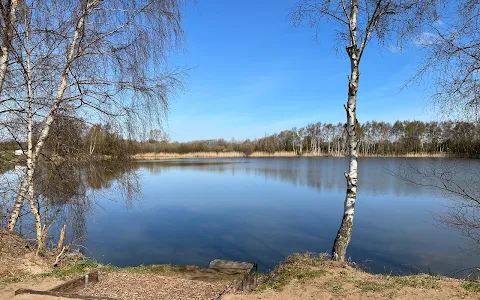 Messingham Sands Fishery image