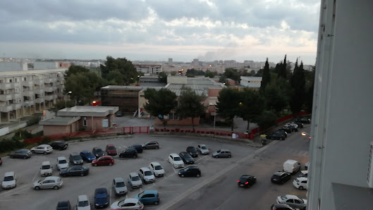 Istituto d'Istruzione Superiore Statale 