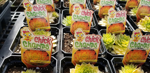 Florist «London Florist», reviews and photos, 196 W Center St, London, OH 43140, USA