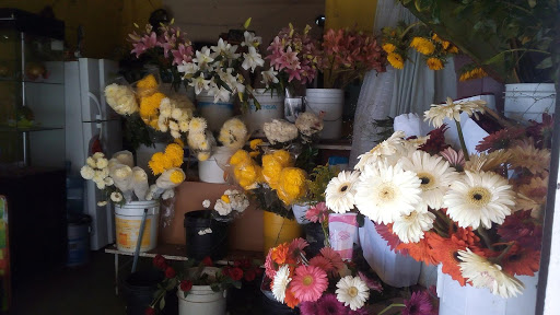 Florería Dilan – Ixtapaluca