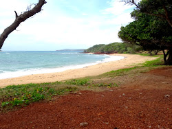 Photo de Shady Beach situé dans une zone naturelle