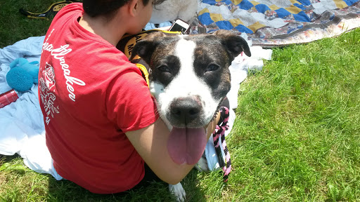 Auto Parts Store «A&A Auto Stores», reviews and photos, 360 N 9th St, Stroudsburg, PA 18360, USA