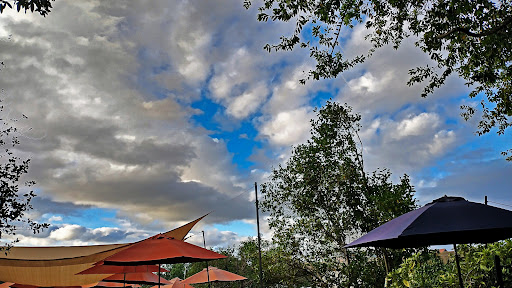 Winery «Pheasant Run Winery & Tasting», reviews and photos, 21690 Main St NE, Aurora, OR 97002, USA