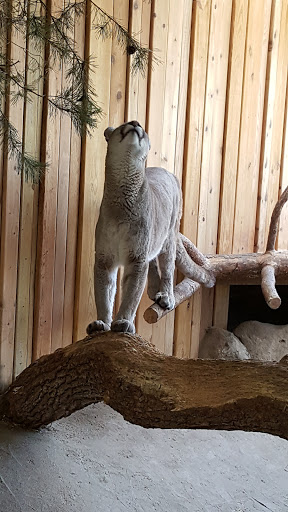 Wildlife Park «The Creature Conservancy», reviews and photos, 4950 Ann Arbor-Saline Rd, Ann Arbor, MI 48103, USA