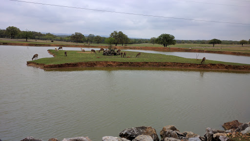 Zoo «The Exotic Resort Zoo», reviews and photos, 235 Zoo Trail, Johnson City, TX 78636, USA