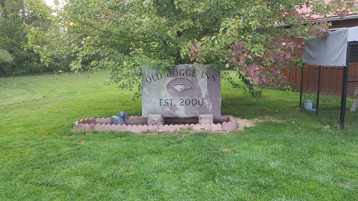 Pet Store «Olde Dogge Inn», reviews and photos, 14472 Ridge Rd W, Albion, NY 14411, USA