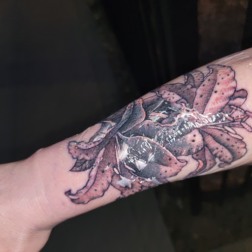 Tattoo Shop «Sacramento Tattoo and Piercing», reviews and photos, 2722 X St, Sacramento, CA 95818, USA