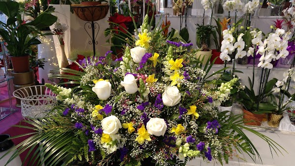 Floristería Mari Carmen