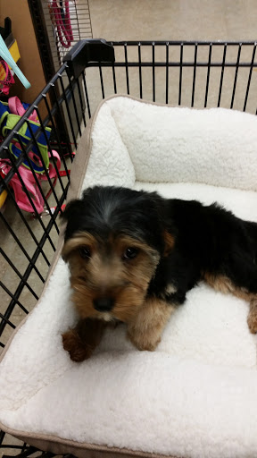 Pet Supply Store «Petco Animal Supplies», reviews and photos, 525 S 5th St, Bismarck, ND 58504, USA