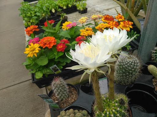 Florist «Frankstown Gardens», reviews and photos, 10158 Frankstown Rd, Pittsburgh, PA 15235, USA