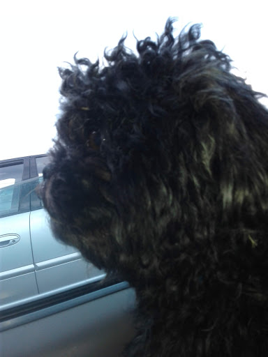 Auto Parts Store «NAPA Auto Parts - Fln Auto Parts», reviews and photos, 656 Lake St S, Forest Lake, MN 55025, USA