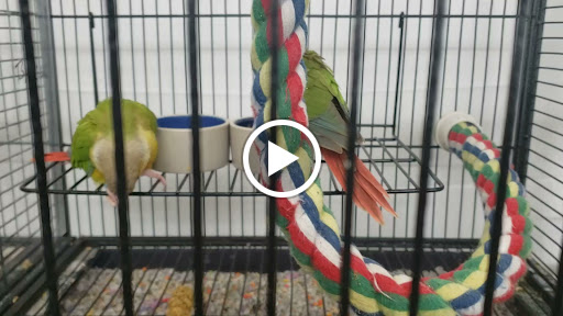 Pet Store «Birds & Beasts Pet Shop», reviews and photos, 35 Berkshire Dr # 18, Crystal Lake, IL 60014, USA
