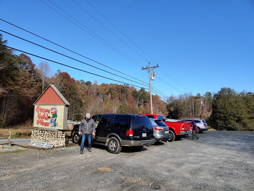 Tourist Attraction «Crisson Gold Mine», reviews and photos, 2736 Morrison Moore Pkwy E, Dahlonega, GA 30533, USA