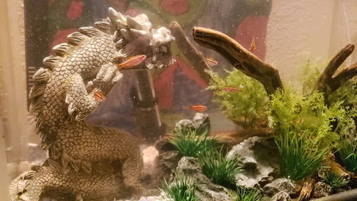 Tropical Fish Store «Tropical Treasures», reviews and photos, 2212 E Platte Ave, Colorado Springs, CO 80909, USA