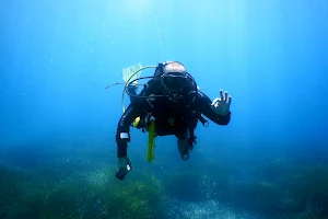 Kalymnos Diving - PADI image