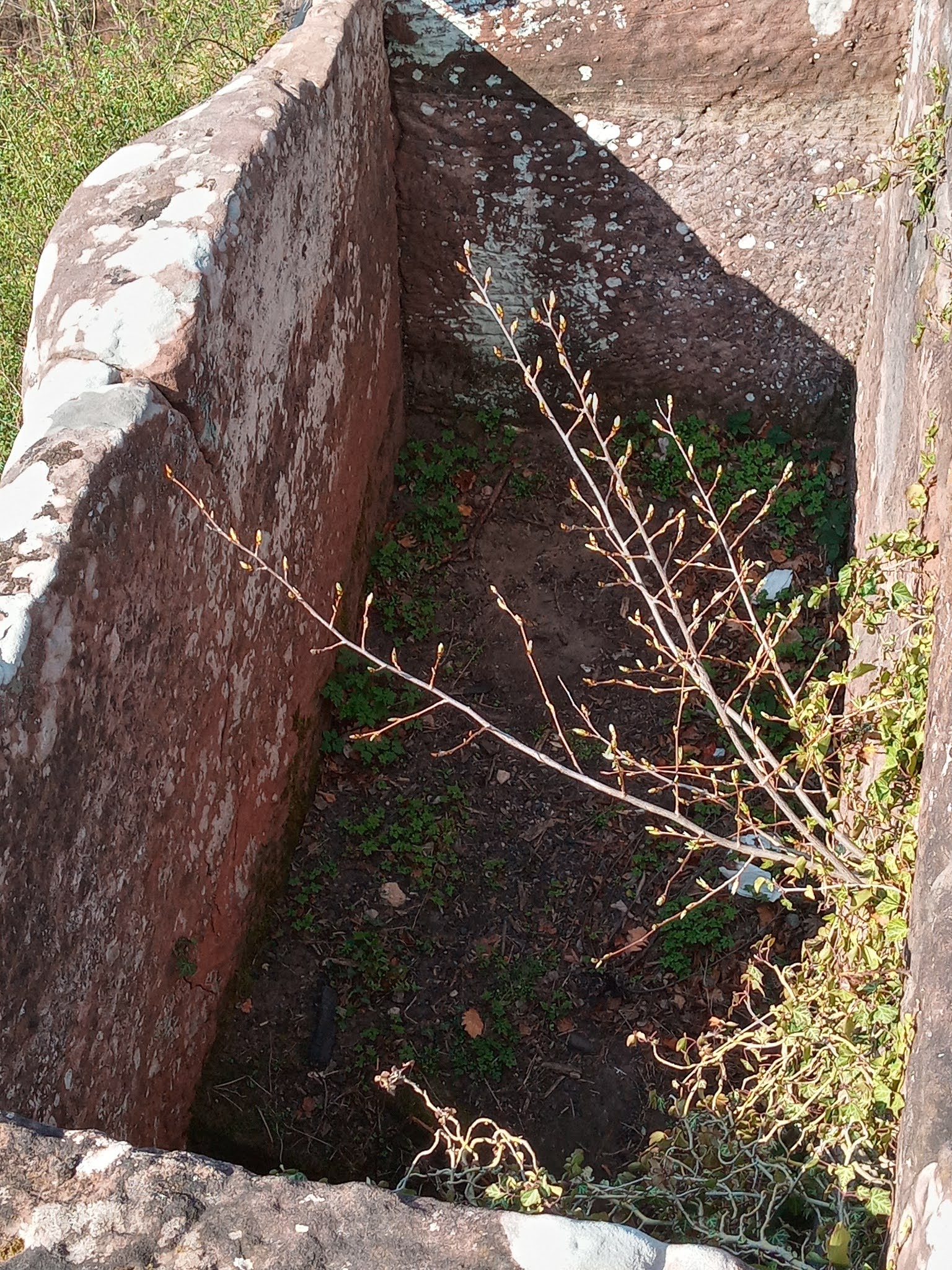 Photo n° 37 de l'avis de Manuela.s fait le 03/04/2021 à 09:38