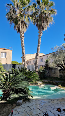 Elagueur 34: Elagage Abattage d'arbres taille haies Jardin Pose clôture 34 Hérault Montpellier Frontignan Lattes à Montpellier