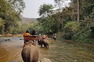 Maetaman Elephant Camp & Bamboo Rafting image