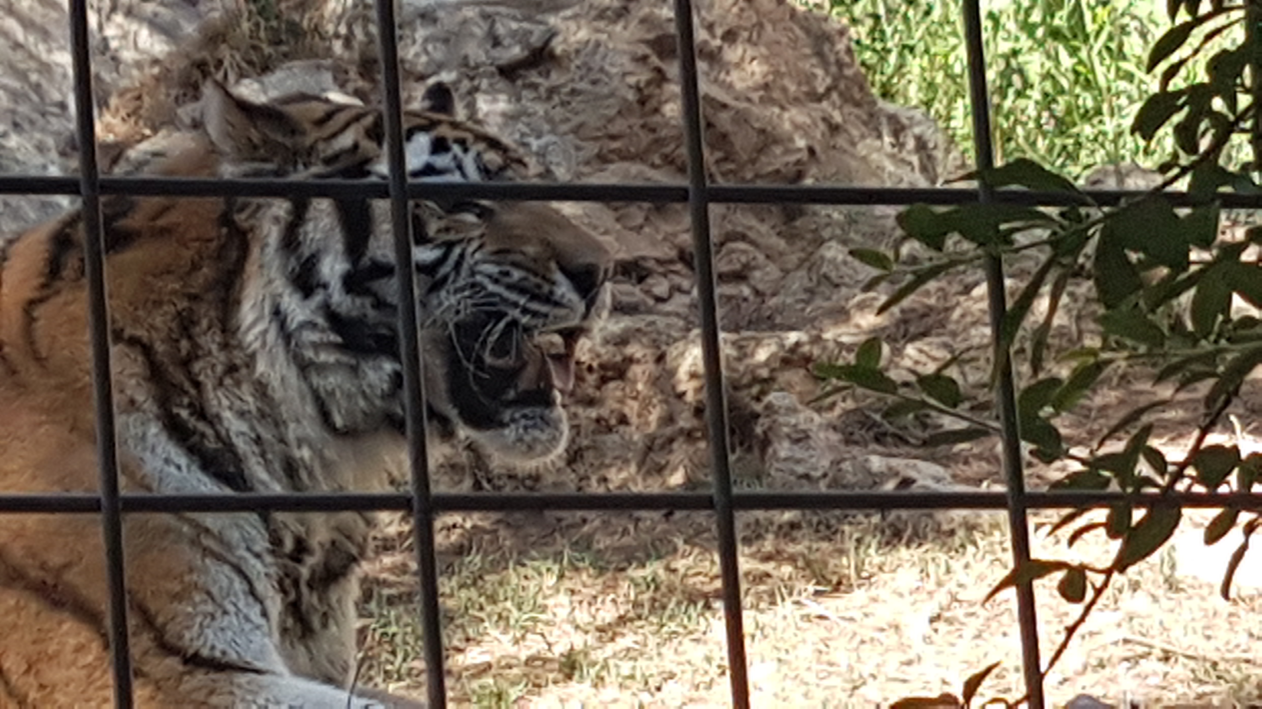 Photo n° 15 de l'avis de Dominique.A fait le 05/08/2017 à 15:53