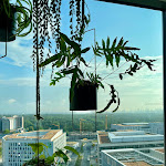 Photo n°9 de l'avis de Peter.c fait le 24/06/2023 à 12:37 sur le  b'mine Frankfurt Airport à Frankfurt