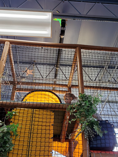 Playground «Once Upon A Treetop», reviews and photos, 151 Dupont St, Plainview, NY 11803, USA