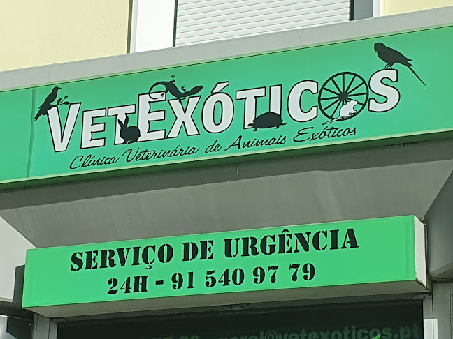 VetExóticos - Almada