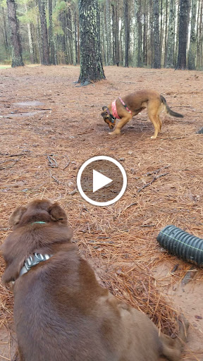 Park «Alexander Park», reviews and photos, 300 Atlanta St, McDonough, GA 30253, USA