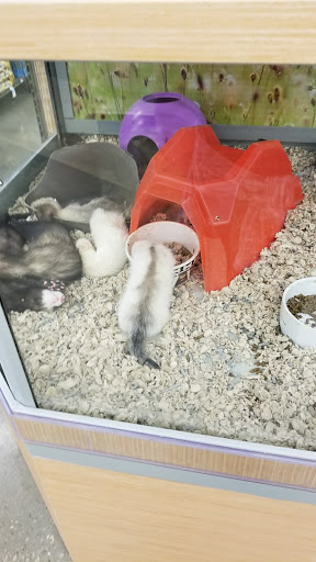 Pet Supply Store «Petco Animal Supplies», reviews and photos, 1680 Campbell Ln, Bowling Green, KY 42104, USA