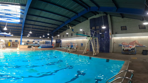 Acrobatic diving pool Long Beach