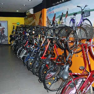 Track & Trail - Cycles & More photo