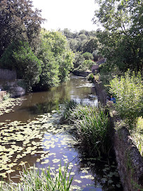 Photo n° 0 de l'avis de Nathalie Bermon fait le 25/08/2021