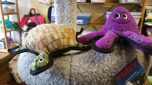 Pet Supply Store «Elmwood Pet Supplies», reviews and photos, 706 Elmwood Ave, Buffalo, NY 14222, USA